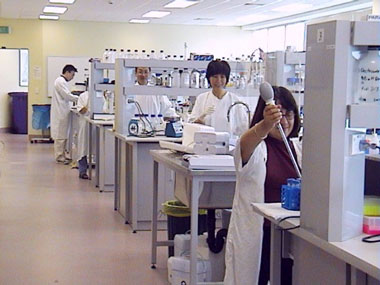 busy lab